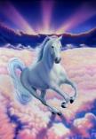 2197 White Dream Horse  